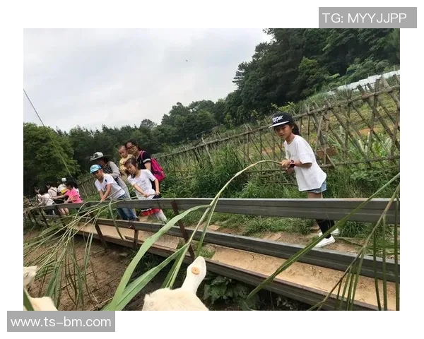 全球足球明星摇篮的传奇俱乐部与他们的成长之路 全球足球明星摇篮的传奇俱乐部与他们的成长之路