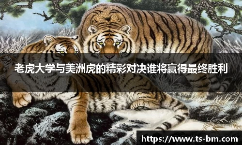 OB电竞官网